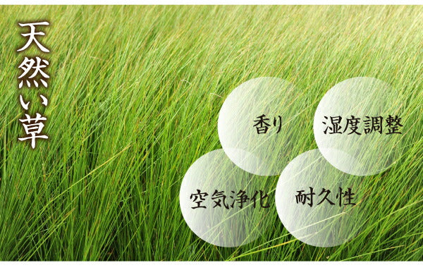 【新商品】高さが変えられる棚・照明・コンセント付き畳ベッド 泰然 たいぜん 引出4杯付 セミダブル 送料無料