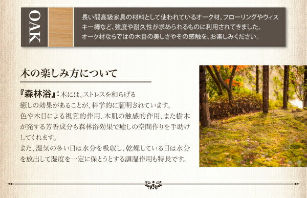 【新商品】組立設置付き アンティーク調ウィンザーチェアダイニング Chester チェスター ダイニングテーブル W160 送料無料