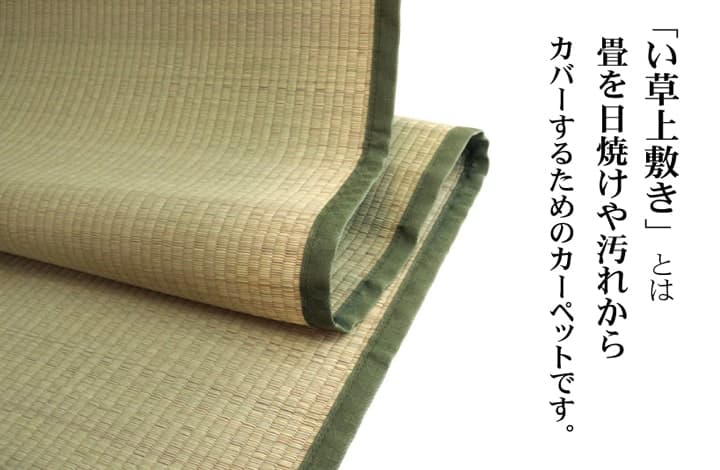純国産 い草 上敷き カーペット 双目織 『草津』 江戸間3畳(約176×261cm) 送料無料