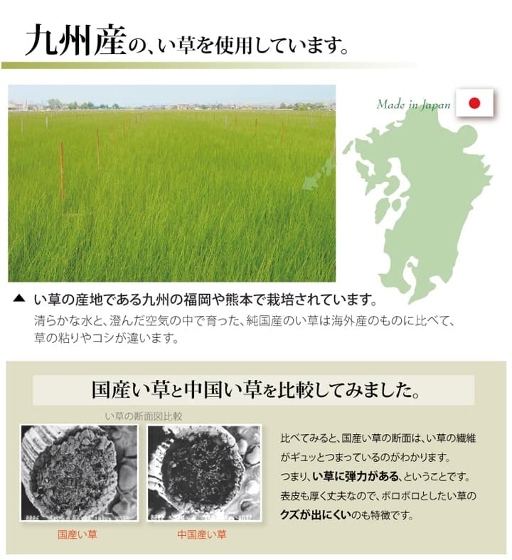 純国産 い草 上敷き カーペット 双目織 『松』 三六間2畳(約182×182cm) 送料無料