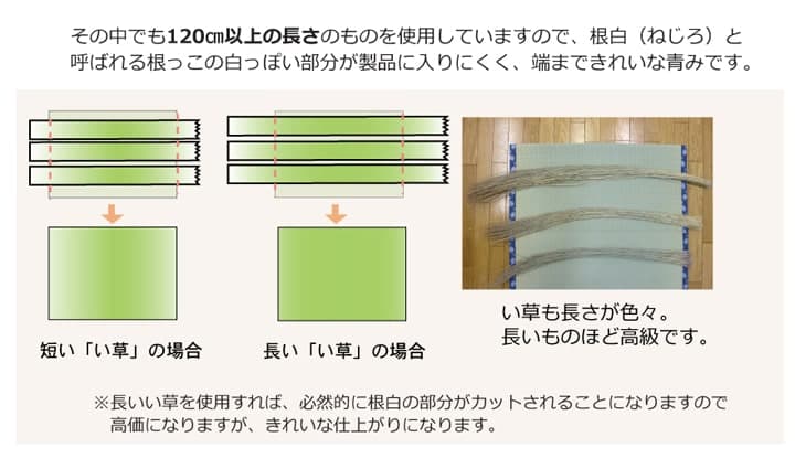 純国産 い草 上敷き カーペット 糸引織 『梅花』 六一間8畳(約370×370cm) 送料無料 - 【公式】allecore(アレコレ) 家具インテリア・生活雑貨のオンライン通販