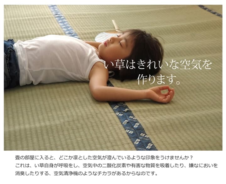 純国産 い草 上敷き カーペット 糸引織 『梅花』 六一間8畳(約370×370cm) 送料無料 - 【公式】allecore(アレコレ) 家具インテリア・生活雑貨のオンライン通販