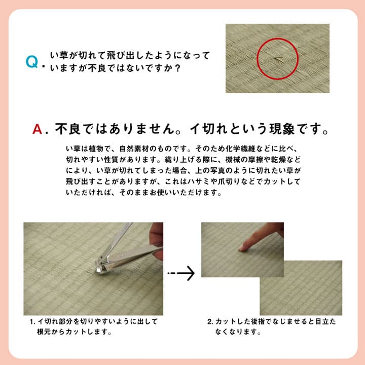 い草 上敷き カーペット 制菌 抗菌防臭 消臭 小林製薬KOBA-GUARD 江戸間6畳(約261×352cm) 送料無料