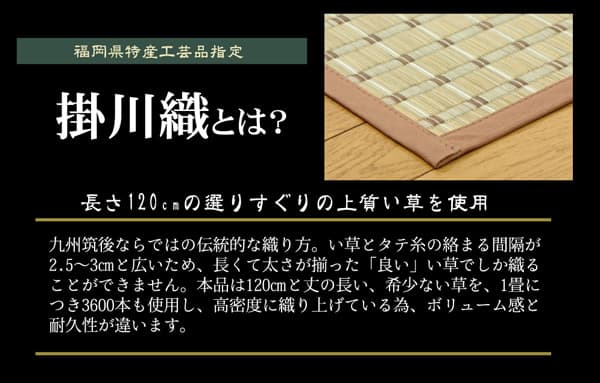 掛川織 い草カーペット 『豊後』 江戸間2畳(約174×174cm) 送料無料