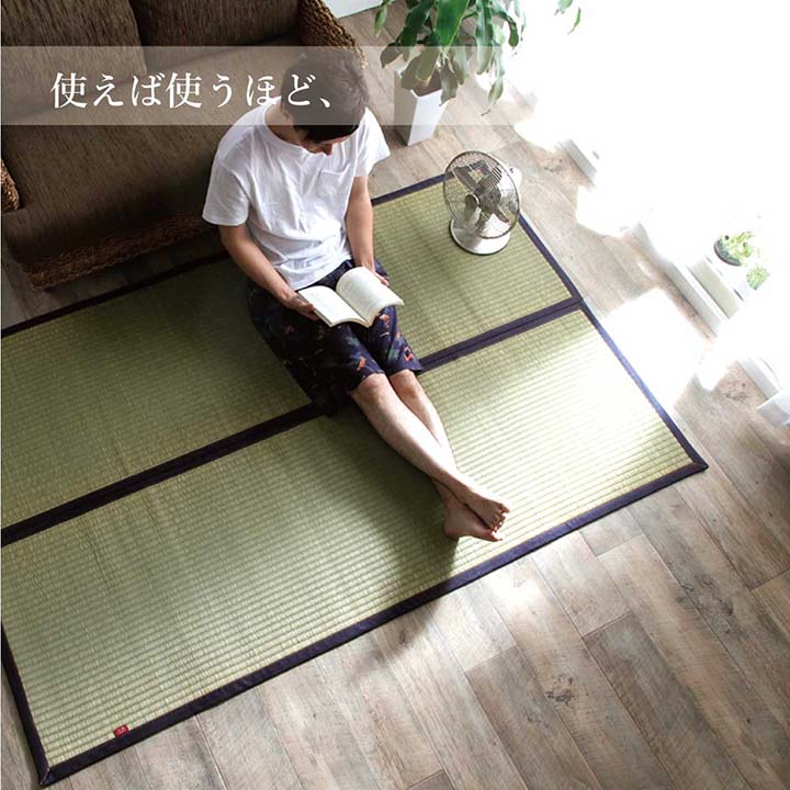 ラグ マット 長方形 い草 夏用 沖縄ビーグ 191×250cm 送料無料