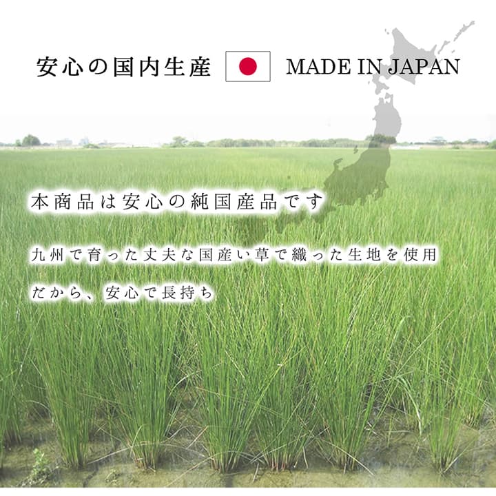 ラグ 長方形 夏用 い草 シンプル 191×250cm 送料無料