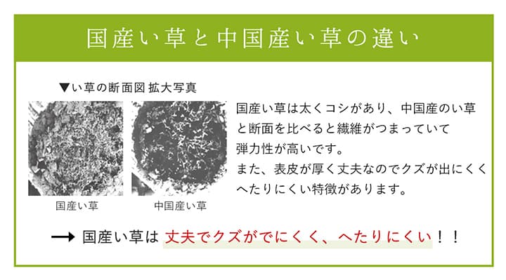 ラグ 長方形 夏用 い草 シンプル 191×250cm 送料無料