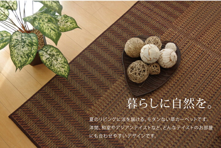 い草ラグ おしゃれ 国産 カーペット シンプル 約191×191cm 送料無料