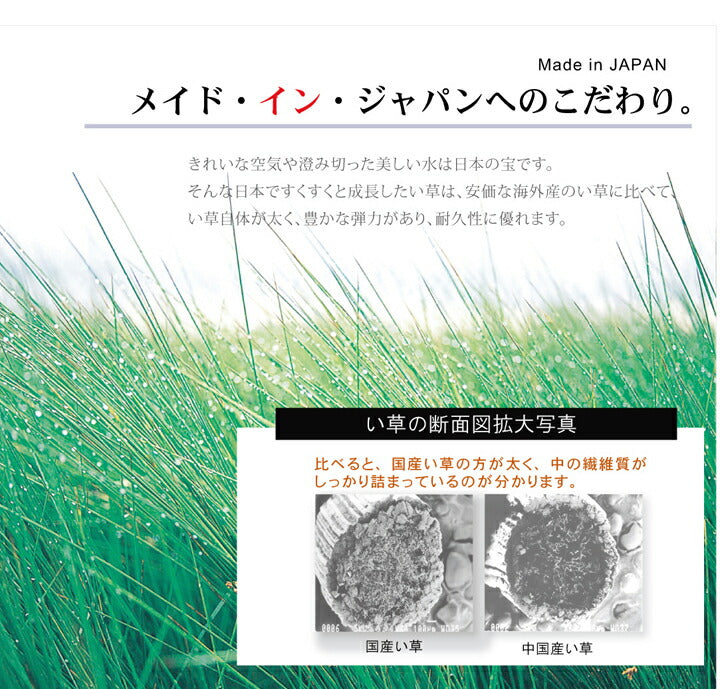 い草ラグ おしゃれ 国産 カーペット シンプル 約191×191cm 送料無料