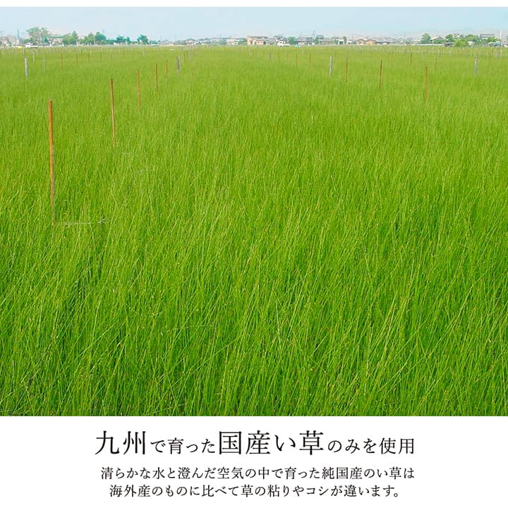 ラグ い草 モダン 純国産 国産 日本製 ウレタン 抗菌防臭 自然素材 ナチュラル 約191×191cm 送料無料