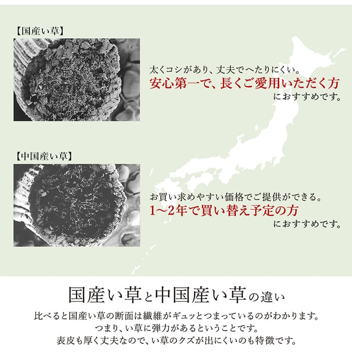 ラグ い草 モダン 純国産 国産 日本製 ウレタン 抗菌防臭 自然素材 ナチュラル 約191×250cm 送料無料