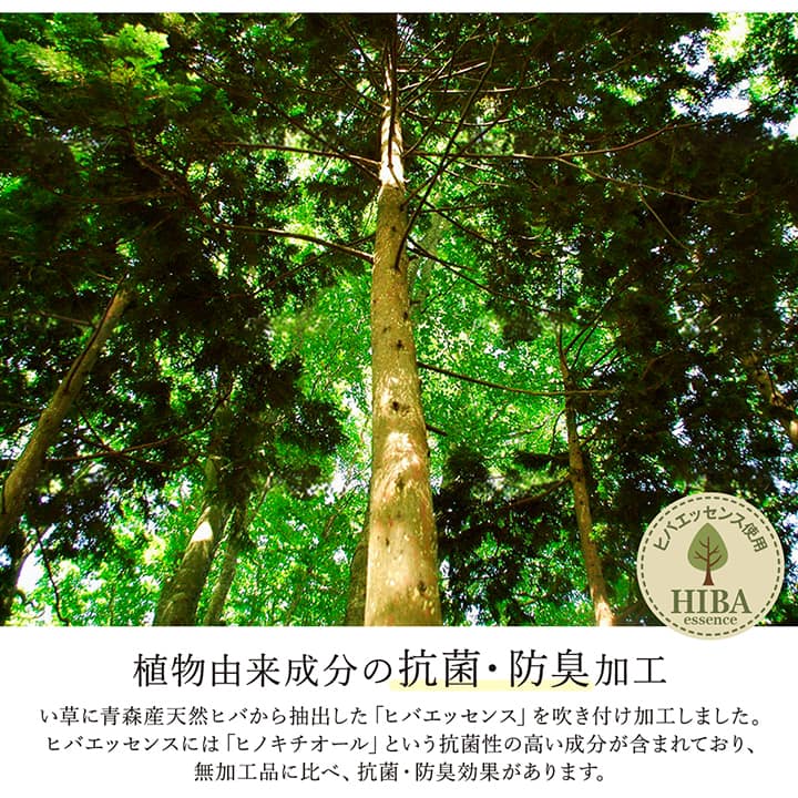 ラグ い草 モダン 純国産 国産 日本製 ウレタン 抗菌防臭 自然素材 ナチュラル 約191×191cm 送料無料