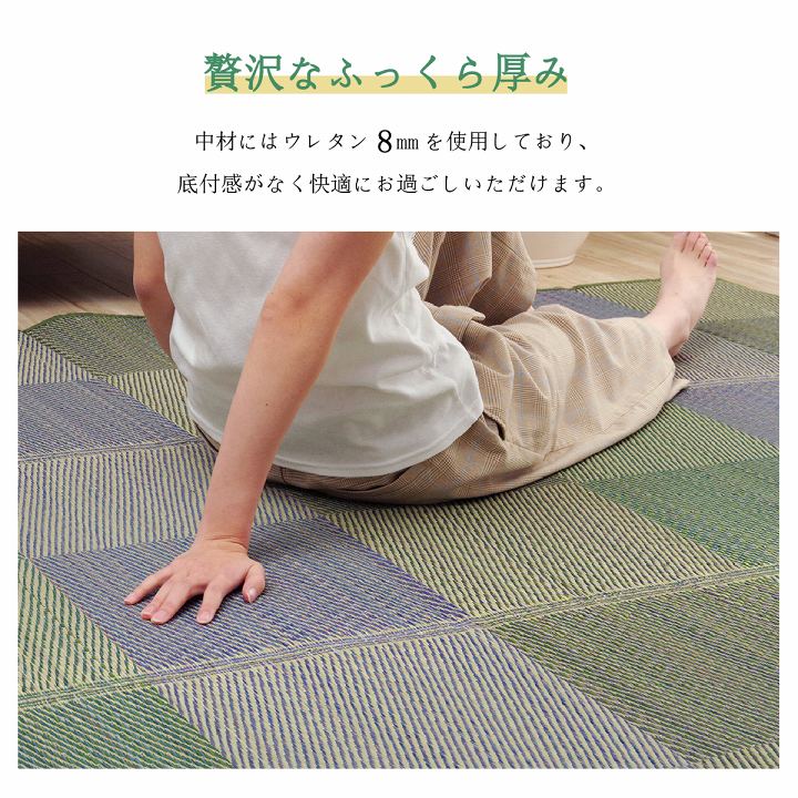 ラグ 長方形 い草 自然素材 クッション性 撥水 防ダニ 滑り止め加工 抗菌防臭 消臭 約6畳 約240×320cm 送料無料