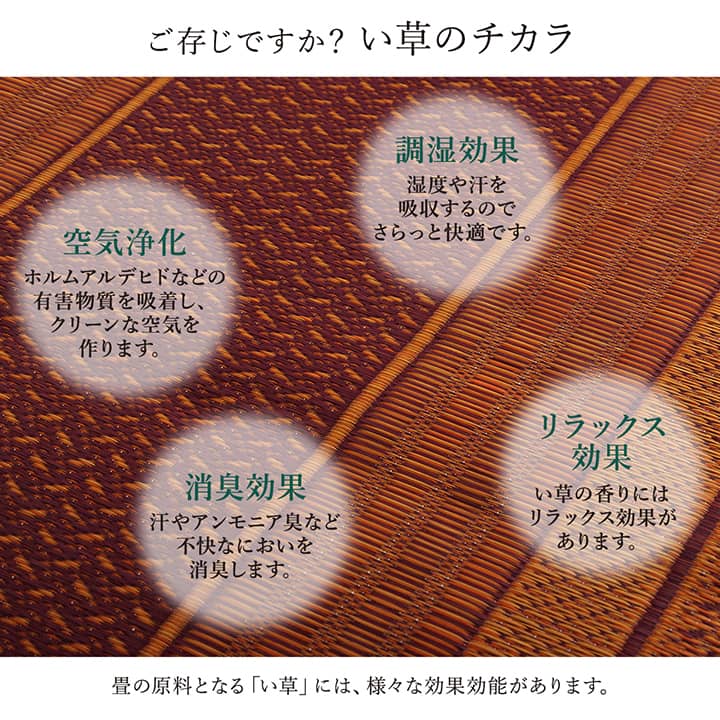 廊下 敷 敷き 国産 純国産 日本製 い草 抗菌防臭 モダン 自然素材 不織布 約80×180cm 送料無料 - 【公式】allecore(アレコレ) 家具インテリア・生活雑貨のオンライン通販