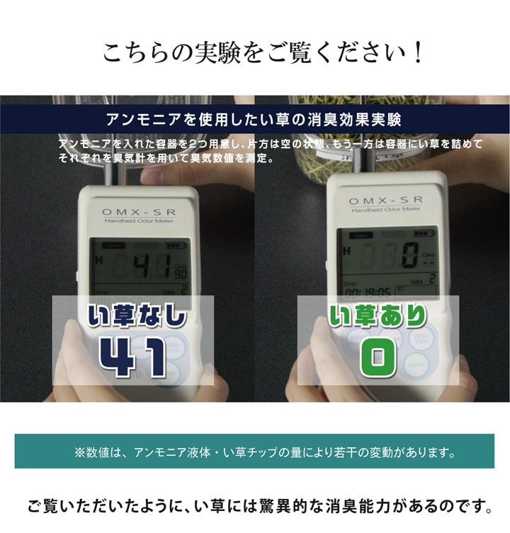 純国産 い草玄関マット 『Fランクス』 約60×90cm(裏:ウレタン) 送料無料 - 【公式】allecore(アレコレ) 家具インテリア・生活雑貨のオンライン通販