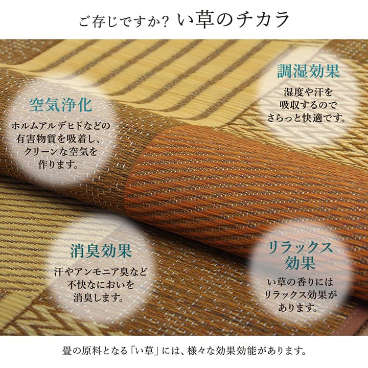 敷物 花ござ 国産 純国産 日本製 い草 モダン 抗菌防臭 自然素材 パッチワーク 本間6畳 約286.5×382cm 送料無料