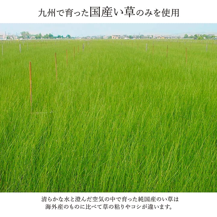 敷物 花ござ 国産 純国産 日本製 い草 モダン 抗菌防臭 自然素材 パッチワーク 本間3畳 約191×286cm 送料無料