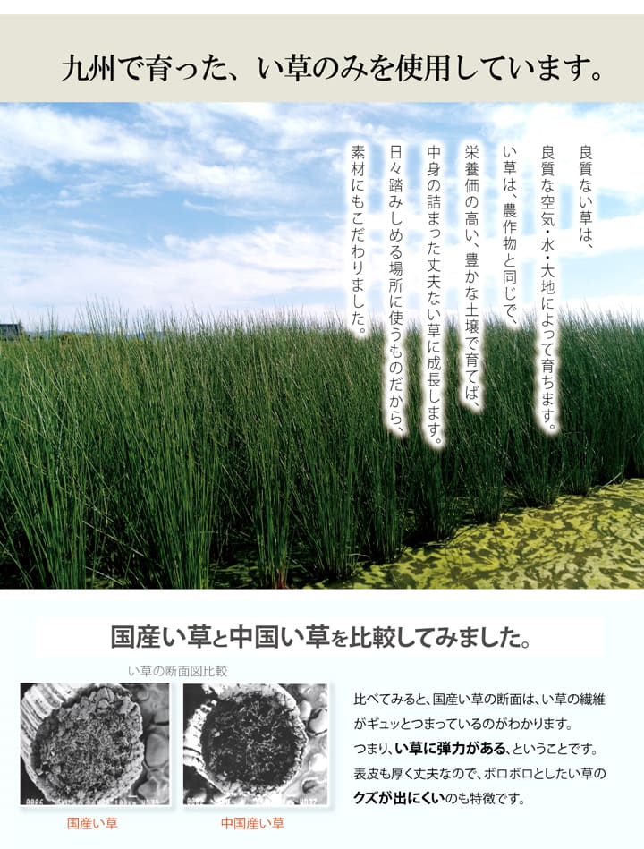 玄関 マット 室内 おしゃれ 日本製 国産 い草 自然素材 花柄 モダン 約70×120cm 送料無料