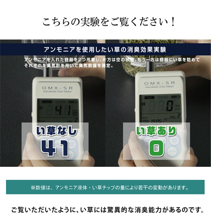 玄関 マット 室内 おしゃれ 日本製 国産 い草 自然素材 花柄 モダン 約60×90cm 送料無料