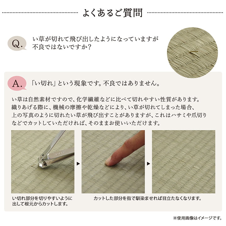 敷物 花ござ 国産 純国産 日本製 い草 掛川織 モダン 抗菌防臭 自然素材 江戸間4.5畳 約261×261cm 送料無料