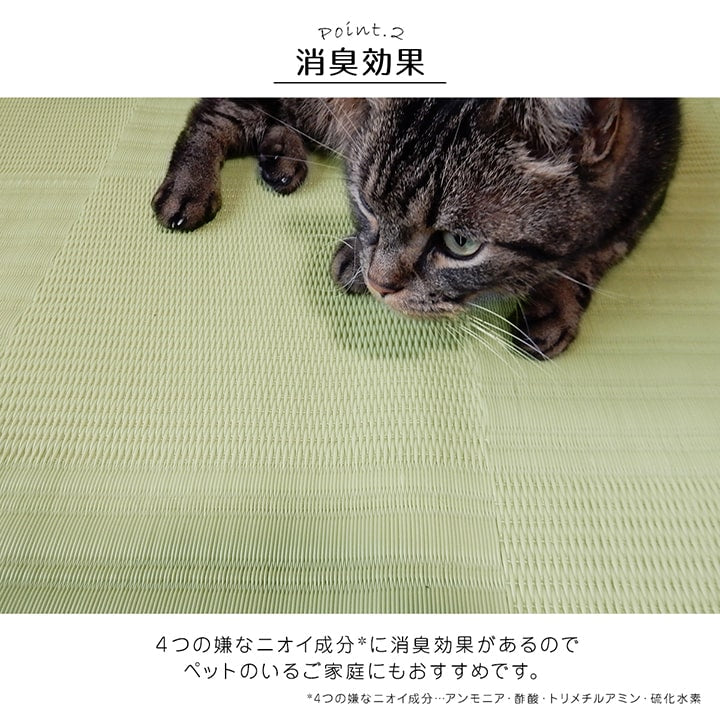 【新商品】ラグ 洗える カーペット 日本製 国産 抗菌 防臭 消臭 アウトドア レジャー 敷物 和室 シンプル 江戸間2畳(約174×174cm) 送料無料