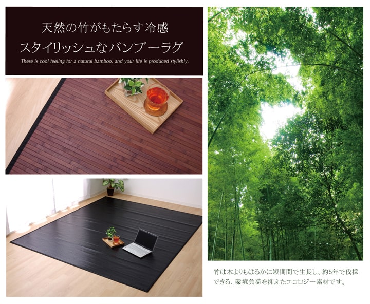 竹カーペット 無地 糸なしタイプ 『ユニバース』 150×220cm 送料無料