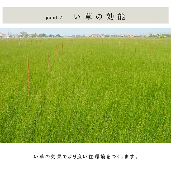 国産 い草 日本製 置き畳 ユニット畳 簡単 和室 3層 約70×70×1.5cm 単品 送料無料