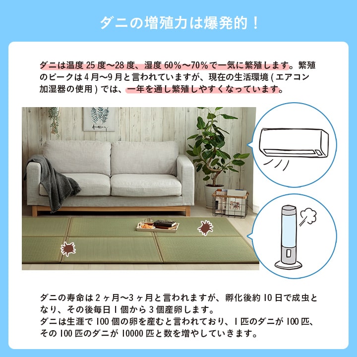 置き畳 い草 日本製 消臭 抗菌防臭 ダニ増殖抑制 無地 約82×82×1.8cm 6P 6枚組 送料無料