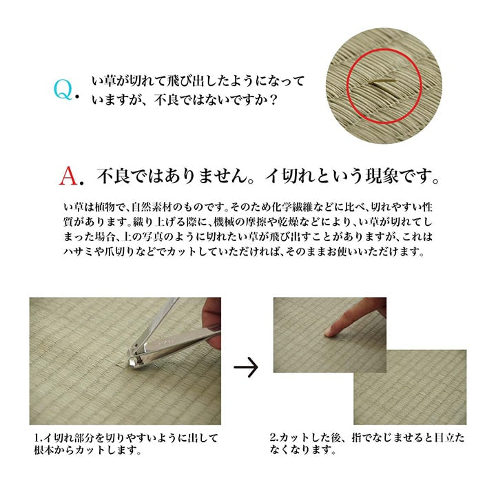 日本製 い草 い草マット マット ごろ寝マット フリーマット クッション性 和風柄 約70×180cm 送料無料