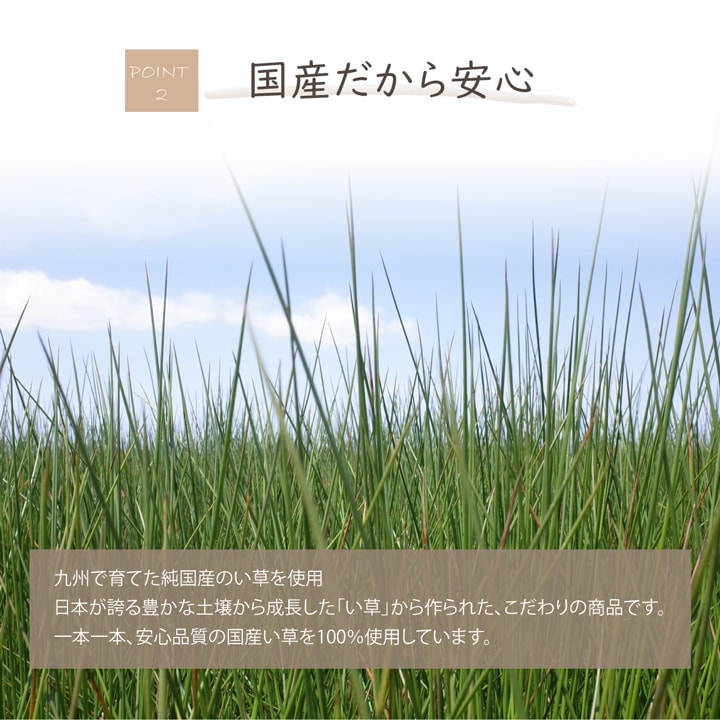 日本製 国産 消臭剤 い草 天然素材 デオグラス 帯白 約10×6.5cm丸 送料無料
