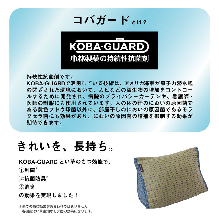 クッション くつろぎ い草 抗菌防臭 シンプル 小林製薬コバガード使用 約40×30×20cm 送料無料