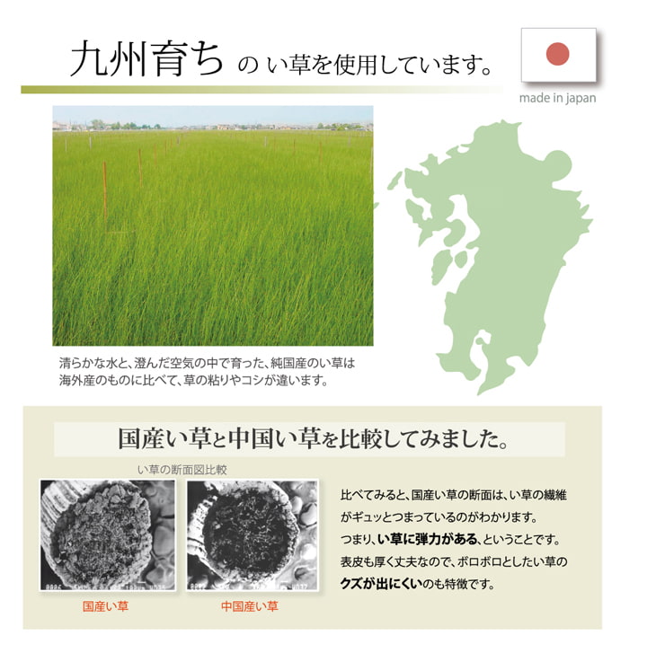 い草 シーツ い草シーツ ベビー キッズ ジュニア 寝ござ 『さわやか ネゴザ』 約70×120cm 送料無料
