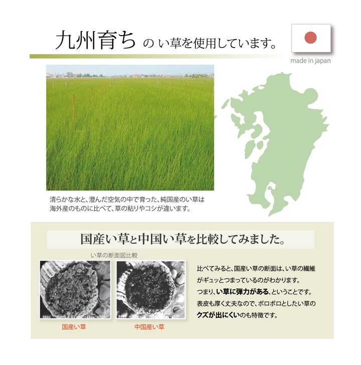 枕 まくら い草枕 消臭 ピロー 国産 無地 ベビー キッズ 『さわやか 平枕』 約30×20cm 送料無料