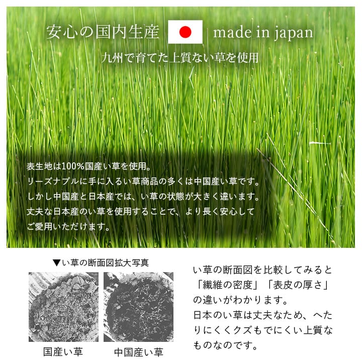 寝具 枕 平枕 い草 吸湿 調湿効果 抗菌防臭 50×30cm 送料無料