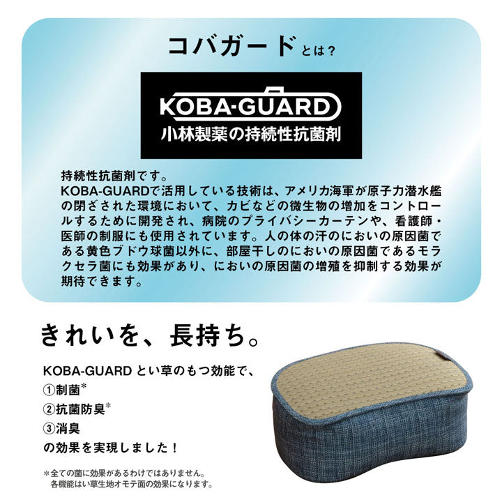 クッション くつろぎ リラックス スマホ い草 抗菌防臭 消臭 シンプル 小林製薬コバガード使用 約30×40×15cm 送料無料 - 【公式】allecore(アレコレ) 家具インテリア・生活雑貨のオンライン通販