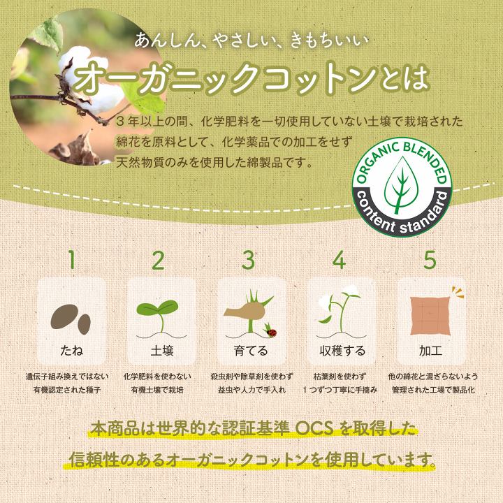 【新商品】クッション フリーシート ソファ 車 日本製 オーガニックコットン 綿100% ボーダー 洗える 約43×130cm 送料無料