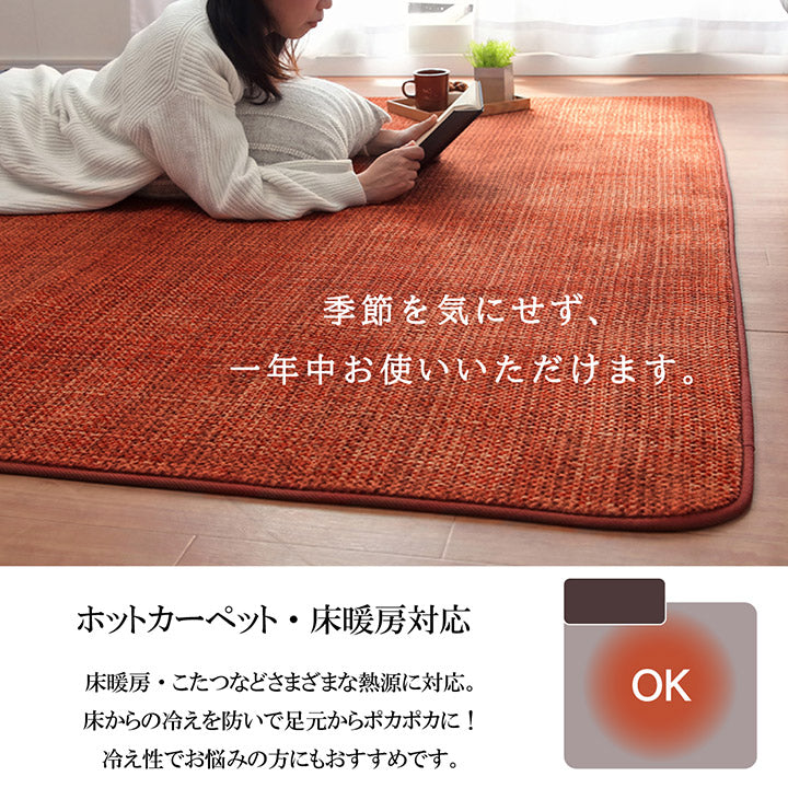 ラグ カーペット マット 珊瑚マイヤ 洗える 滑りにくい 約90×185cm 送料無料