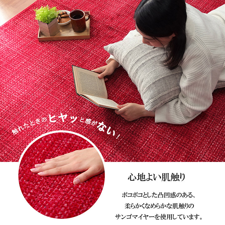 ラグ カーペット マット 珊瑚マイヤ 洗える 滑りにくい 約200×300cm 送料無料