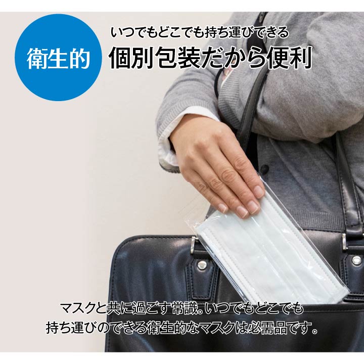 マスク アレルプルーフ 日本製 PM2.5 かぜ 花粉 ハウスダスト 個別包装 サージカル マスク 高機能不織布フィルター使用 Lサイズ 30枚入り 送料無料
