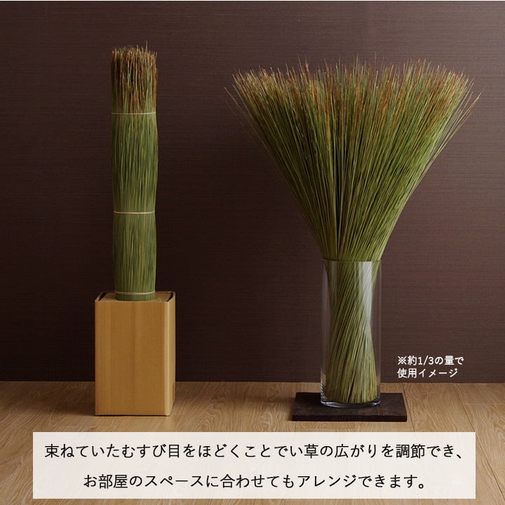 国産 日本製 い草 インテリア オブジェ 消臭 空気清浄 ナチュラル 植物 置物 95×10cm 送料無料
