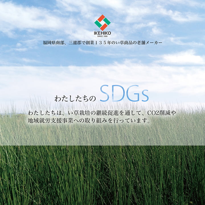 【新商品】い草 リース 雑貨 飾り 消臭効果 リッラクス効果 アレンジ 約20cm丸 送料無料