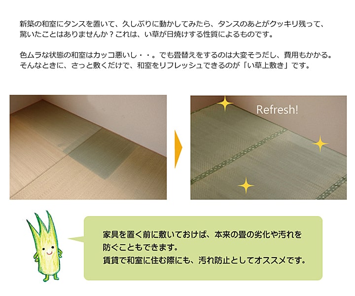 純国産 い草 上敷き カーペット 市松織 『不知火』 三六間8畳(約364×364cm) 熊本県八代産イ草使用 送料無料