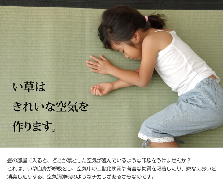 純国産 い草 上敷き カーペット 麻綿織 『清正』 江戸間10畳(約440×352cm) 熊本県八代産イ草使用 送料無料