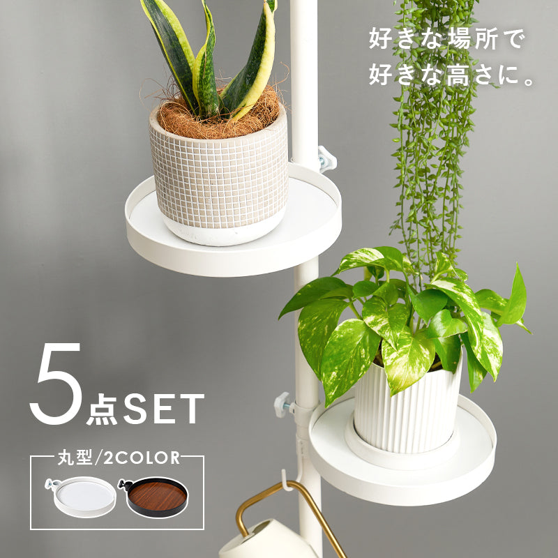 突っ張り棒 パーツ 5点セット 丸型 収納家具 本棚 オシャレ ディスプレイ 突っ張りタイプ ポールラック 賃貸
