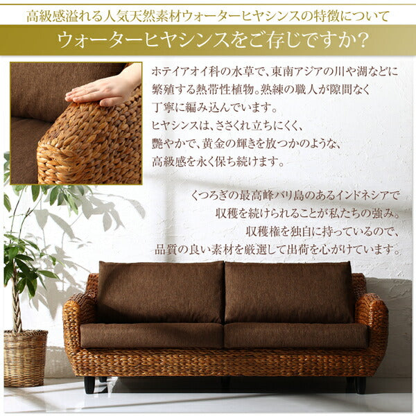 【新商品】ホテルやサロン、オフィスにも 高級リラクシングヒヤシンスソファ Lamama ラママ ソファ2点セット 2P×2 送料無料