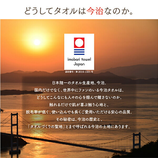 【新商品】世界の今治タオル 綿100% 家族のためのコットンタオルシリーズ 敷きパッド キング 送料無料