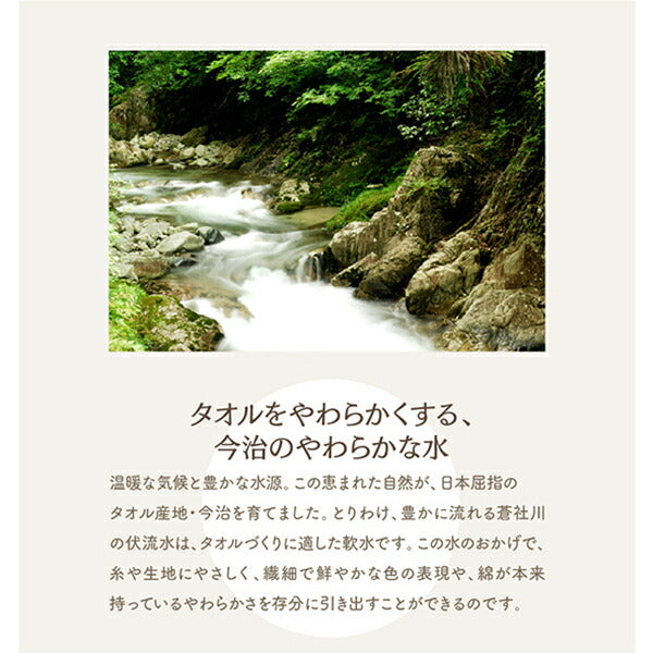 【新商品】世界の今治タオル 綿100% 家族のためのコットンタオルシリーズ 敷きパッド セミダブル 送料無料