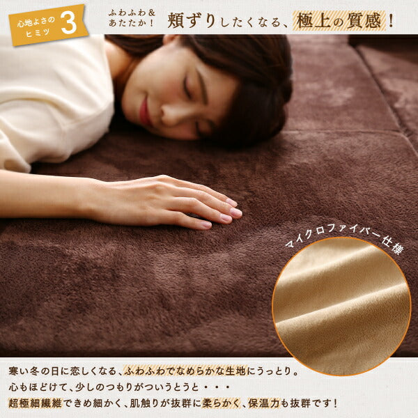 【新商品】カバーが洗えて年中清潔 こたつに合わせるマイクロファイバークッションラグ ラグ 大 250×174 送料無料