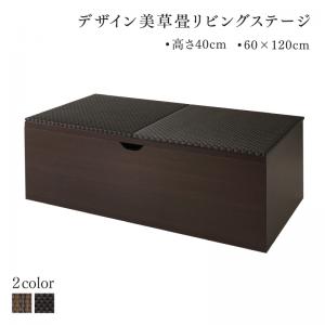 国産 収納付きデザイン美草畳リビングステージ 風凛 フーリン 畳ボックス収納 120×60cm ハイタイプ 送料無料