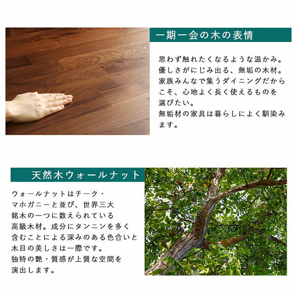 【新商品】組立設置付き ウォールナット無垢材モダンデザインダイニング JASPER ジャスパー 5点セット(テーブル+チェア4脚) W120 送料無料